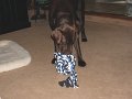 2009_08_04 Hemi_0571
